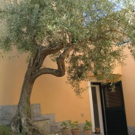 Apartment Casa Spisidda Monolocale 